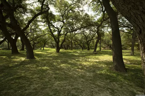 Other - 325 River Rdg, Spring Branch, TX 78070 photo 23 of 26