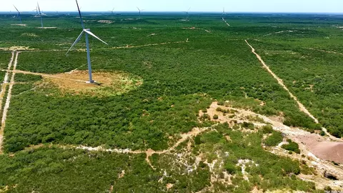 0 San Pablo Rd Tract 3, Bruni, TX 78344