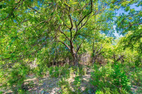 Other - Undisclosed, Junction, TX 76849 photo 8 of 23