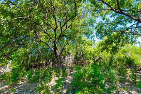 Other - Undisclosed, Junction, TX 76849 photo 9 of 23