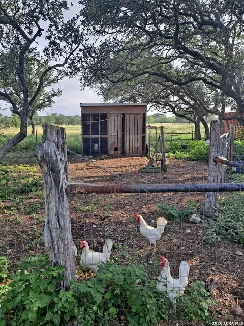 Other - 623 Fm 1796, Utopia, TX 78884 photo 11 of 11