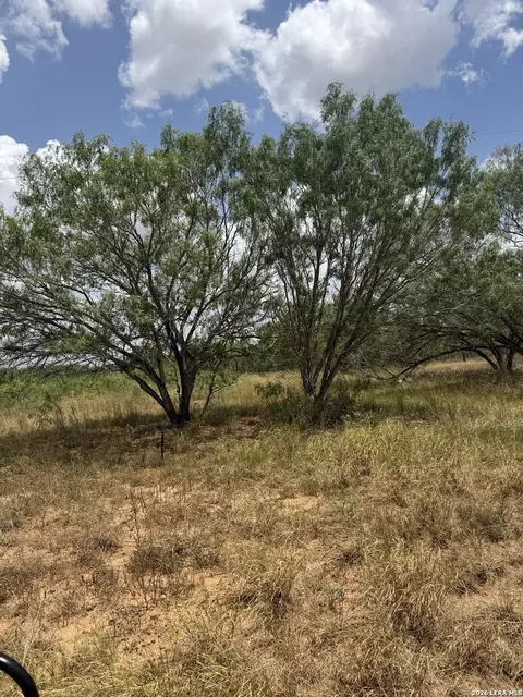 6193 County Road 117, Floresville, TX 78114