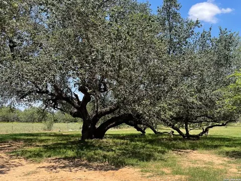 Other - 574 County Road 660, Devine, TX 78016 photo 25 of 26