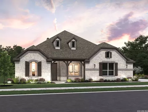 1146 Cape May Warbler, New Braunfels, TX 78132