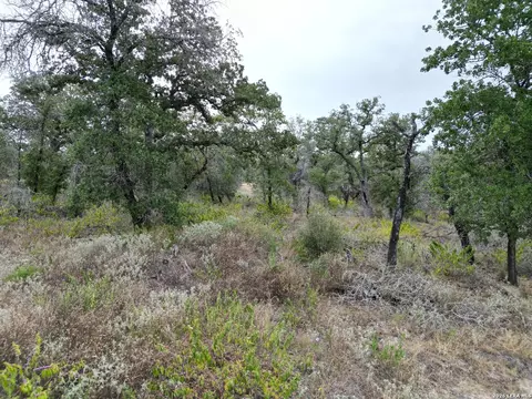 209 Timber Pl, La Vernia, TX 78121