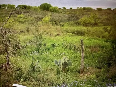 18491909 Strawberry City, Poteet, TX 78065