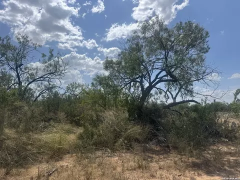 000 Ave O, Christine, TX 78012
