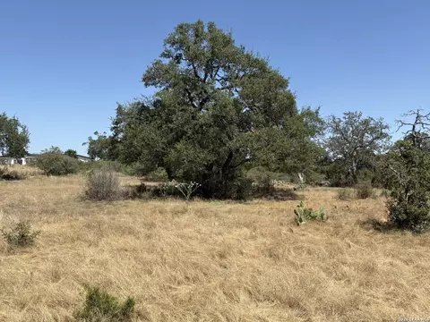 531 Arthur Ct, Spring Branch, TX 78070 photo 3