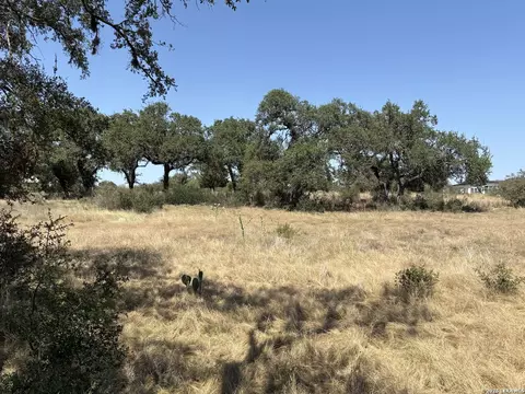 531 Arthur Ct, Spring Branch, TX 78070 photo 5