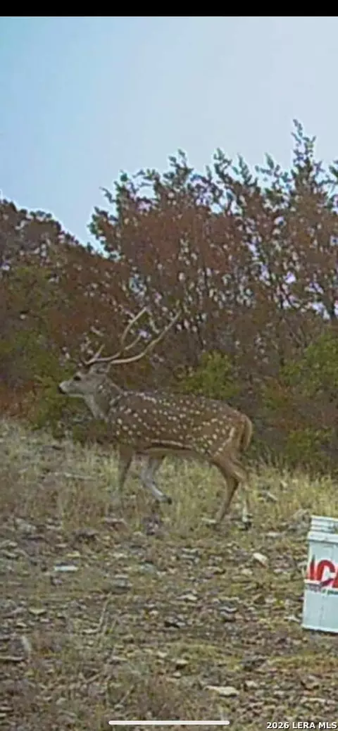 tbd Sd 45455, Rocksprings, TX 78880