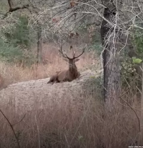 69 Powder Rdg, Luling, TX 78648 photo 12