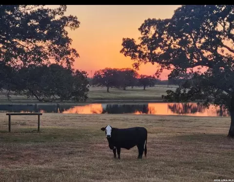 69 Powder Rdg, Luling, TX 78648 photo 9