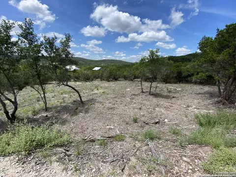 391 Pr 1748 #LOT 391, Mico, TX 78056