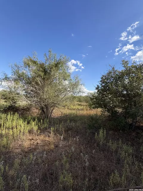 Tract #4 Elm Creek Rd, Seguin, TX 78155