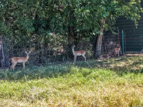 Other - 509 E Almante Ave, De Leon, TX 76444 photo 3 of 16