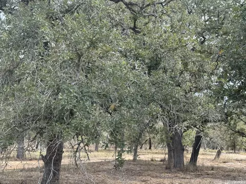 190 Deer Park Rd, La Vernia, TX 78121