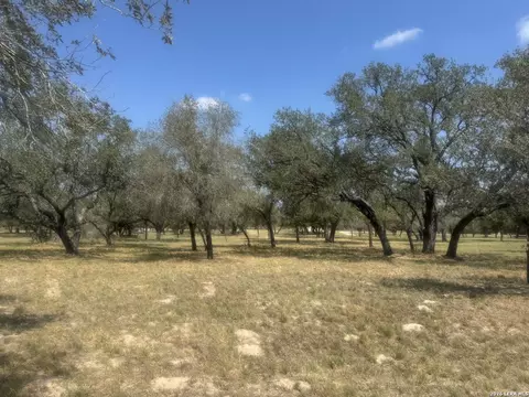 1600 County Road 770, Natalia, TX 78059