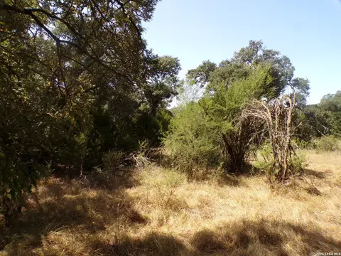 31369 Smithson Vly, Bulverde, TX 78163 photo 6