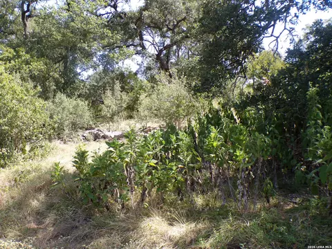31369 Smithson Vly, Bulverde, TX 78163 photo 8
