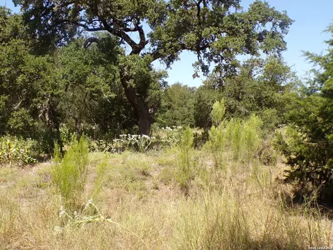 31369 Smithson Vly, Bulverde, TX 78163 photo 9