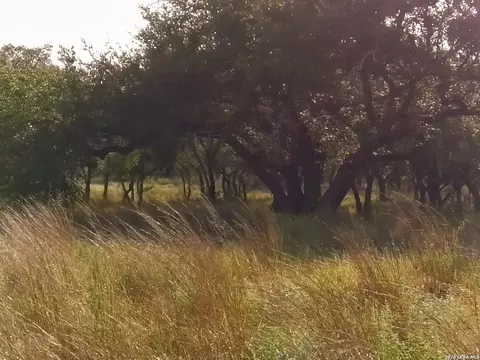 0 Whiskey Trl, Blanco, TX 78606 photo 4
