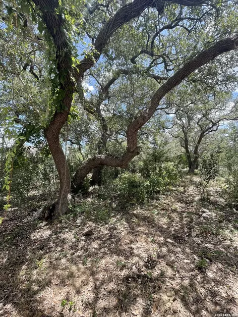 233 Rust Ranch Rd, Blanco, TX 78606 photo 36