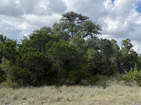 233 Rosinweed Dr, Spring Branch, TX 78070