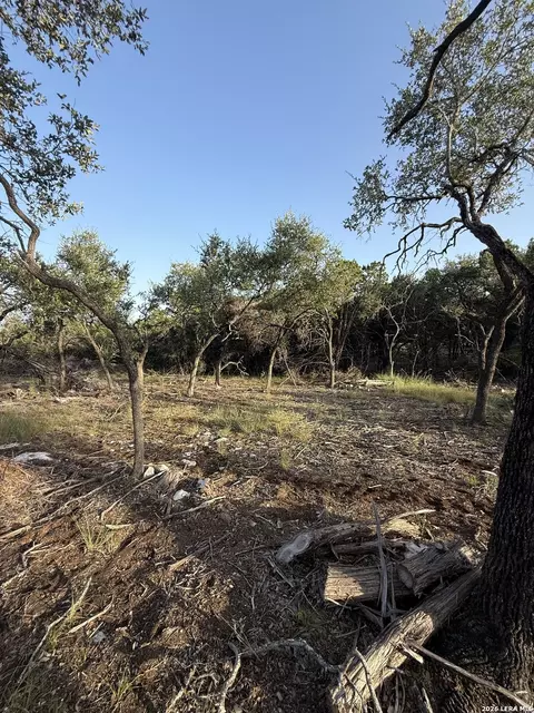 247 Restless Wind, Spring Branch, TX 78070 photo 6