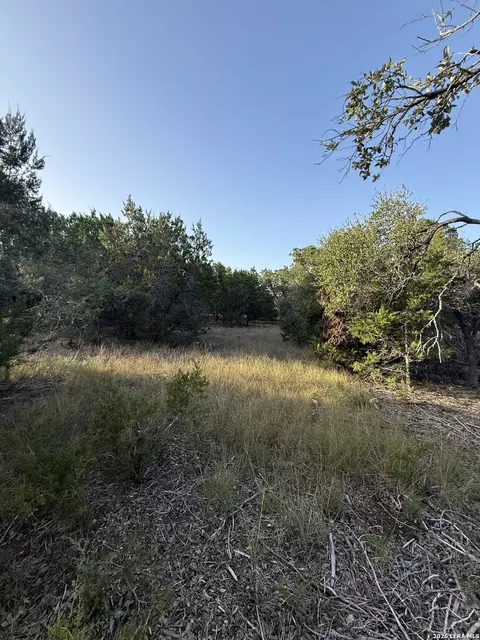 247 Restless Wind, Spring Branch, TX 78070 photo 5