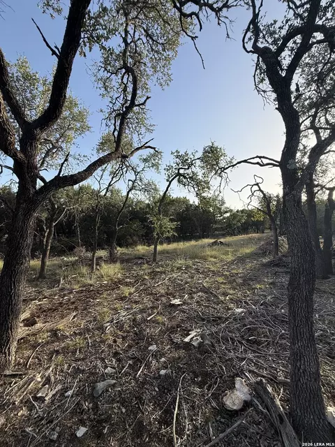 247 Restless Wind, Spring Branch, TX 78070 photo 4