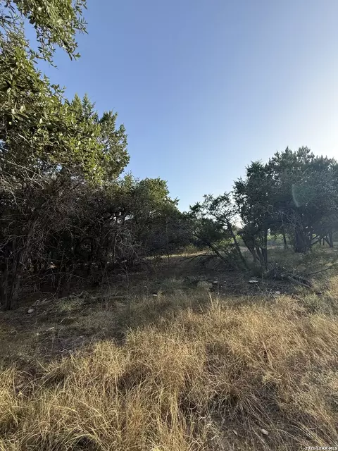 247 Restless Wind, Spring Branch, TX 78070 photo 2