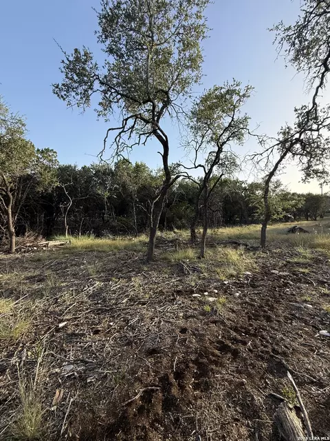 247 Restless Wind, Spring Branch, TX 78070 photo 7