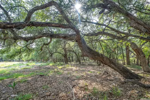 9918 Kopplin Rd, New Braunfels, TX 78132