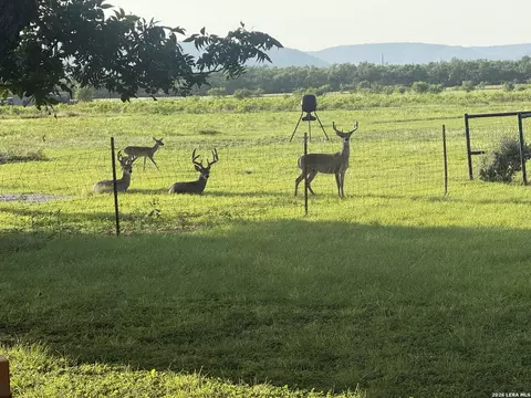 Other - 809 Rivertree Rd, Leakey, TX 78873 photo 10 of 10