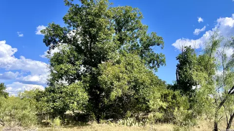 Other - 348 Lundy Rd, Junction, TX 76849 photo 3 of 8