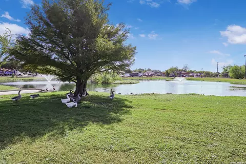 View/Area - 5903 Brook Fls, Windcrest, TX 78239 photo 2 of 2