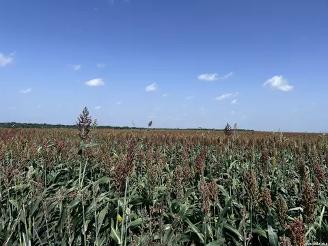 Other - 1325 County Road 210, Poth, TX 78147 photo 7 of 15