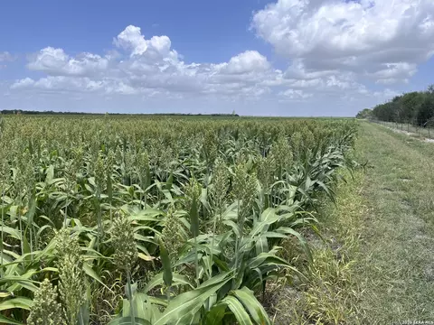 Other - 1325 County Road 210, Poth, TX 78147 photo 6 of 15