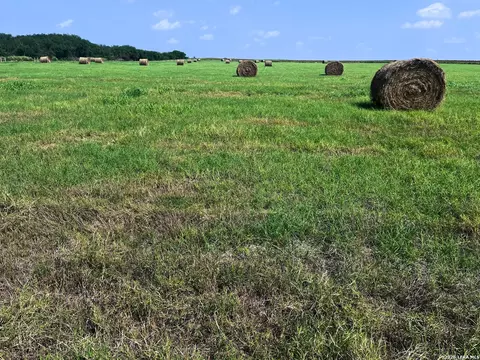 Other - 1325 County Road 210, Poth, TX 78147 photo 4 of 15