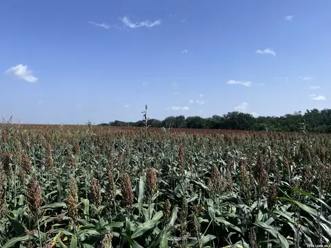 Other - 1325 County Road 210, Poth, TX 78147 photo 8 of 15