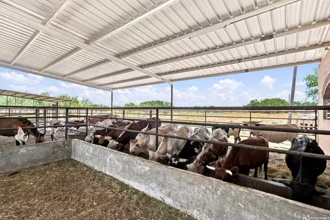 Other - 14906 Somerset, Von Ormy, TX 78073 photo 14 of 19