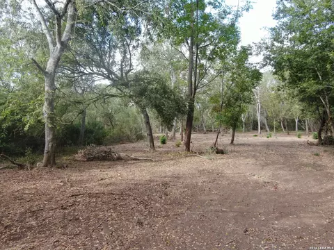 00 Fm 463, Devine, TX 78069 photo 5