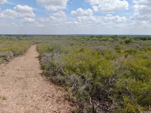 00 Fm 463, Devine, TX 78069 photo 17