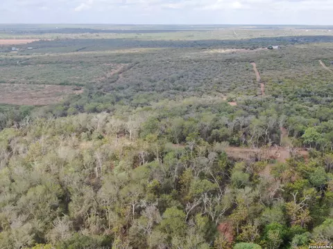 00 Fm 463, Devine, TX 78069 photo 3