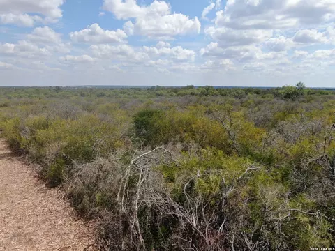 00 Fm 463, Devine, TX 78069 photo 13