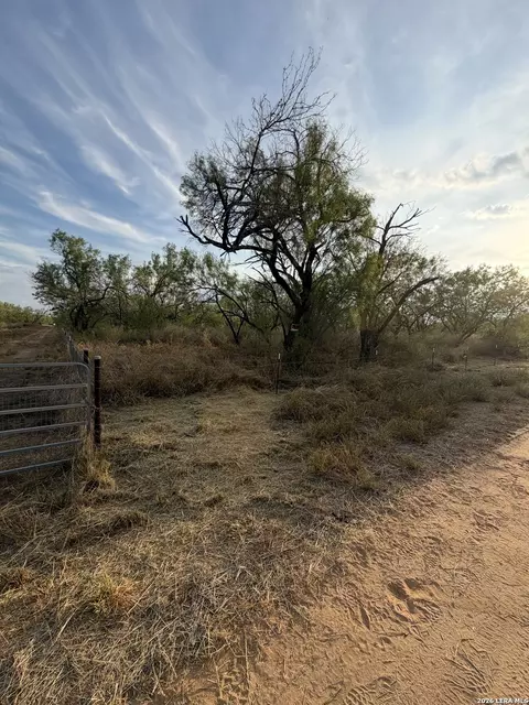 307 Bluebonnet, Devine, TX 78016 photo 9