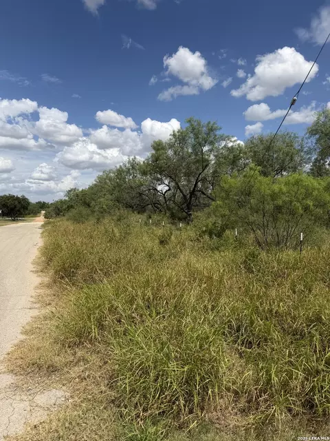 307 Bluebonnet, Devine, TX 78016 photo 13