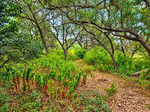 22334 Scenic Loop Rd, San Antonio, TX 78255