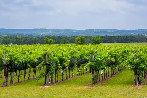 1653 Gellermann, Fredericksburg, TX 78624