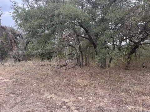 133 White Horse Ln, Stockdale, TX 78160